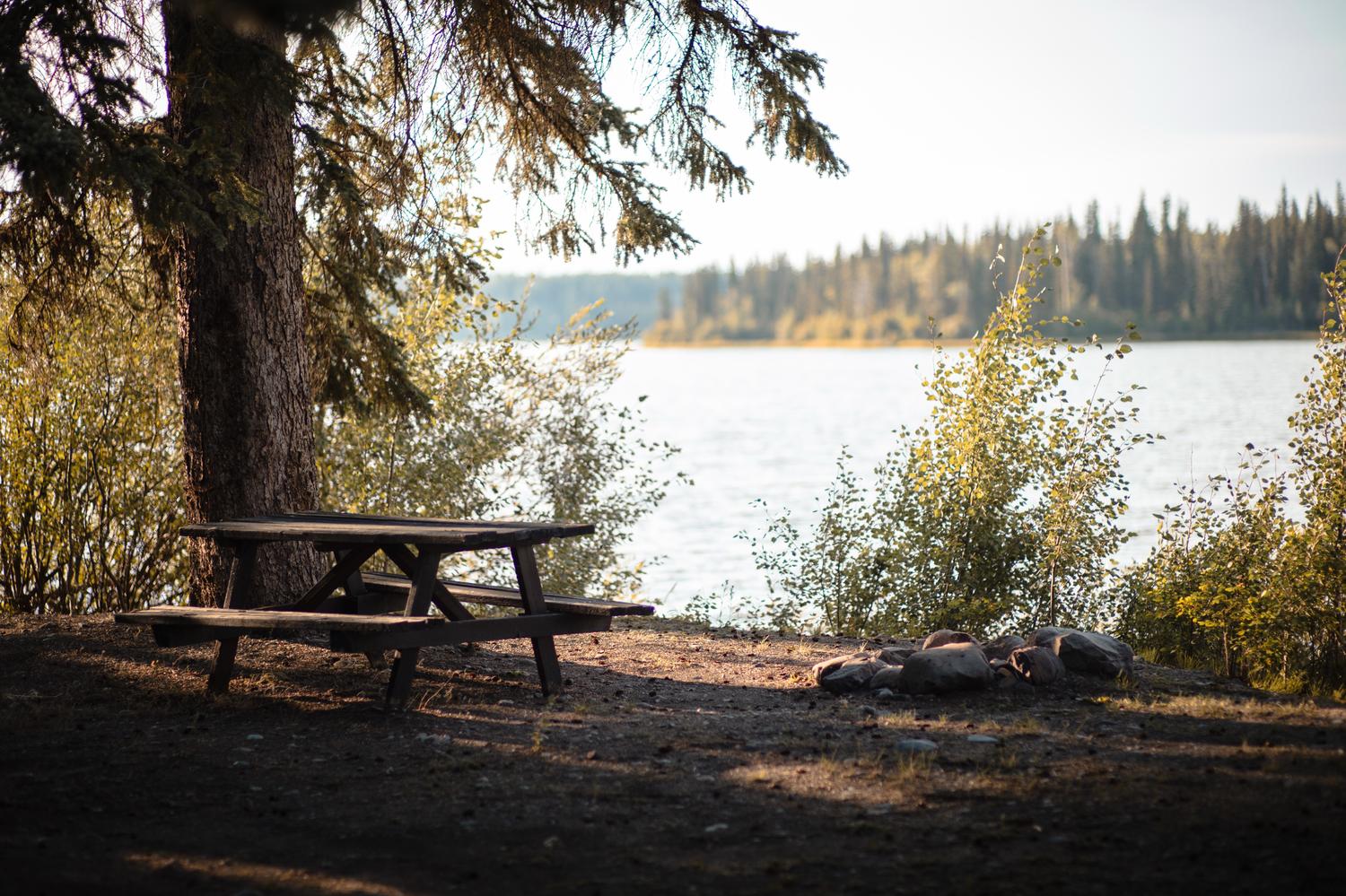 An open campsite on the shore of Anahim Lake: a weathered picnic table under a big spruce, a stone fire ring beside it and the water just beyond.
