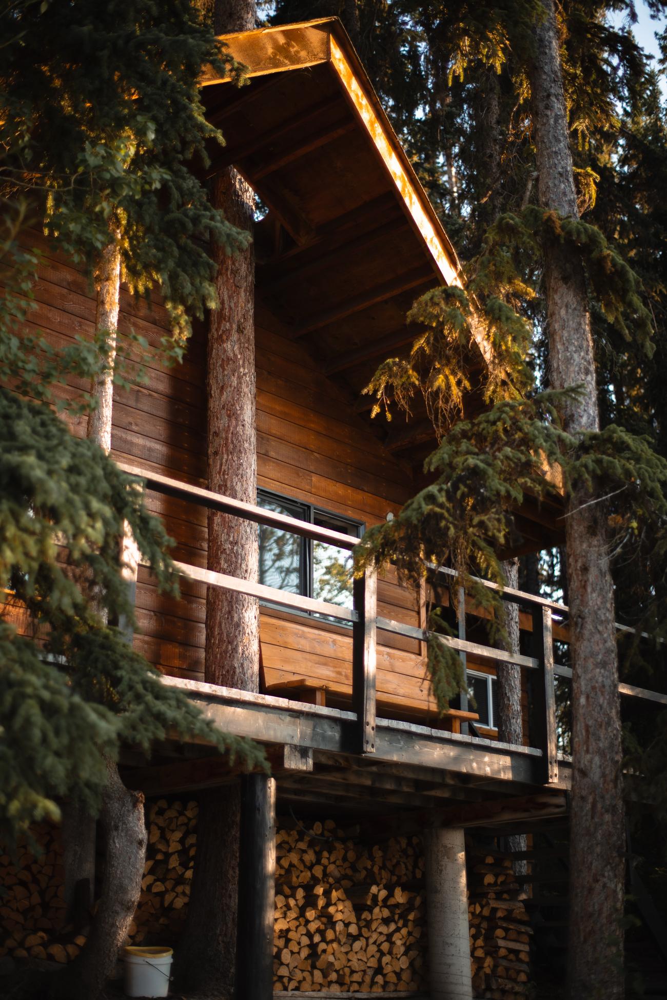 Eagle Cabin raised on posts among tall spruce, its deck catching low evening sun, with split firewood stacked underneath.