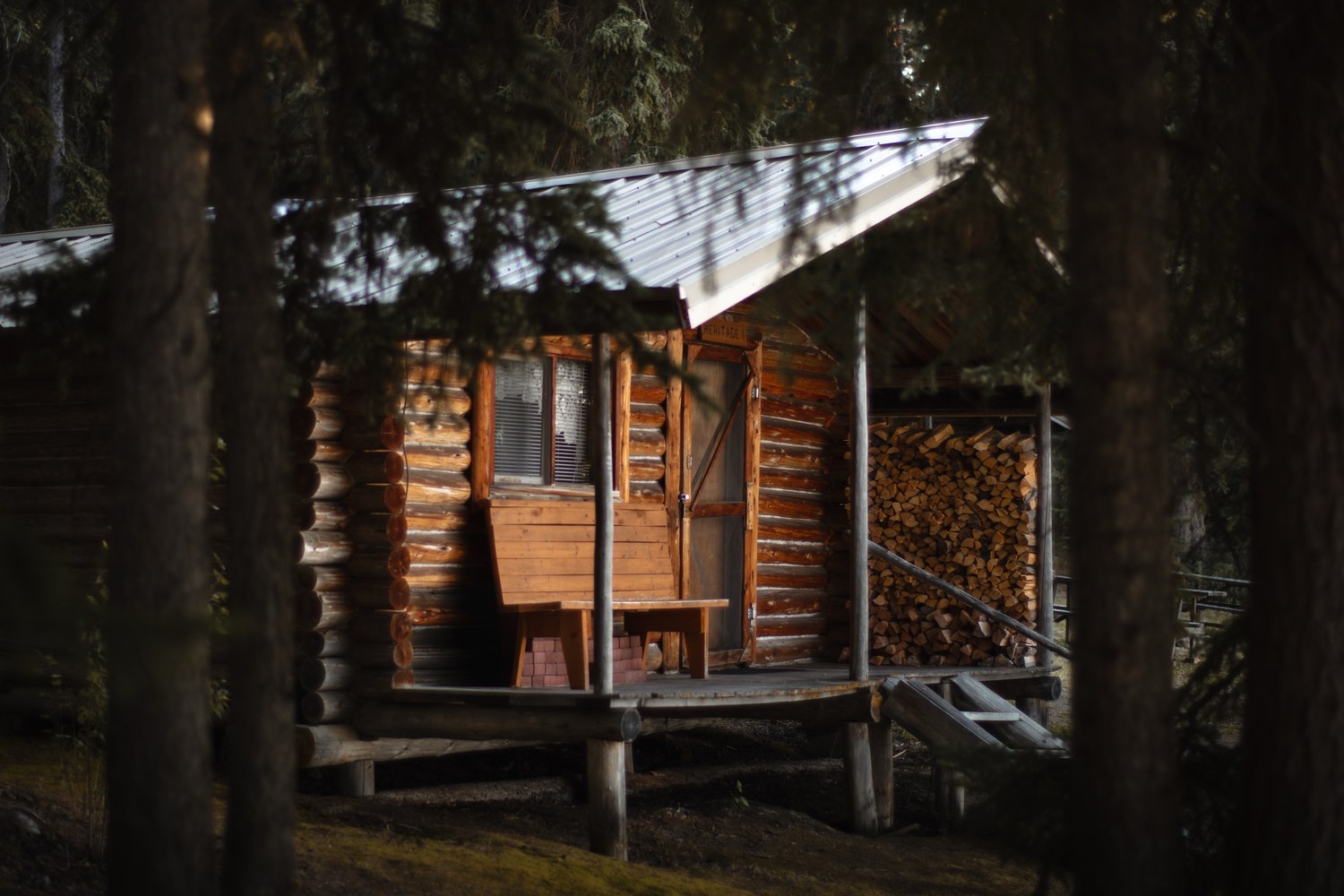 Heritage 1 seen through the spruce: a log cabin standing on posts, with a covered porch, a bench by the door and split wood stacked under the roof.