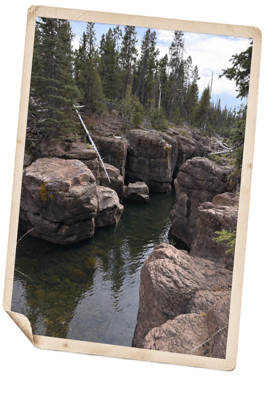 A rock canyon on the way in to Beef Trail
               Falls, still green water running between shelves of stone, as a weathered print.